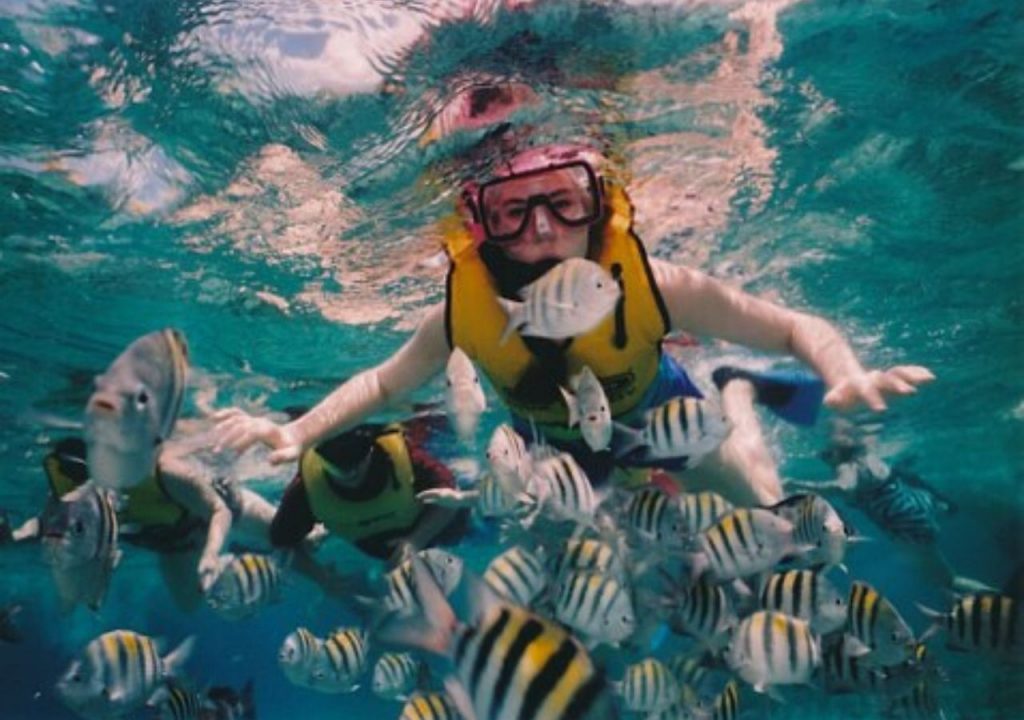 El snorkel