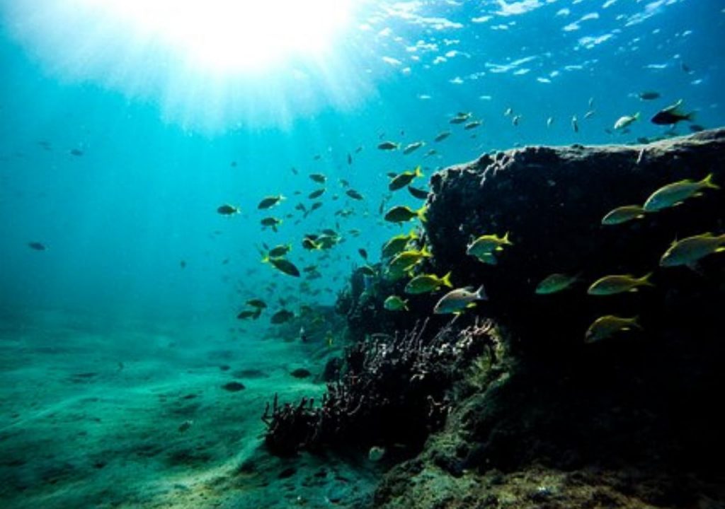 ¡A Snorkelear!